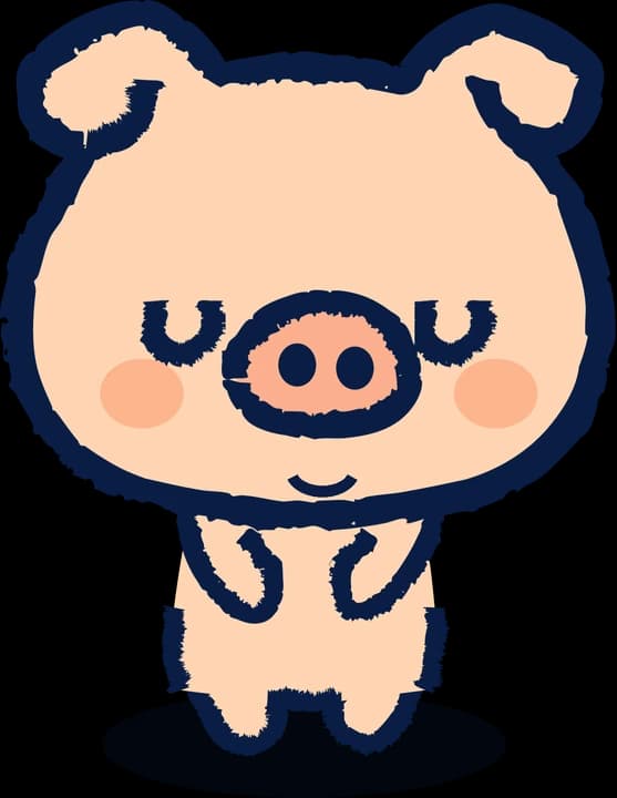 mr. pig